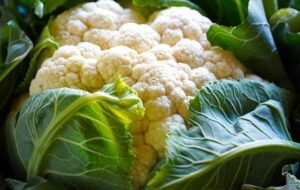 CAULIFLOWER