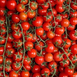 CHERRY TOMATO