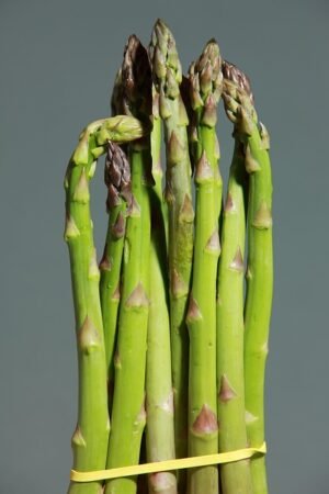 GREEN ASPARAGUS