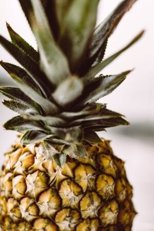 PINEAPPLE