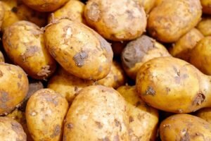 POTATO