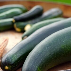 ZUCCHINI